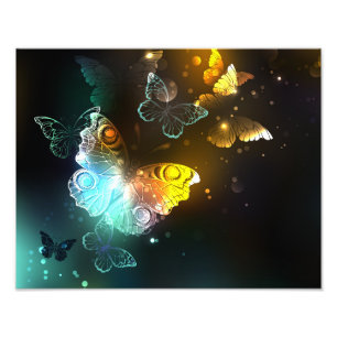 Luminous Butterfly and Night butterflies Photo Print