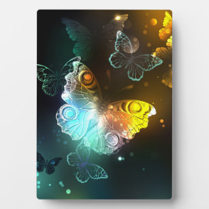 Luminous Butterfly and Night butterflies Plaque