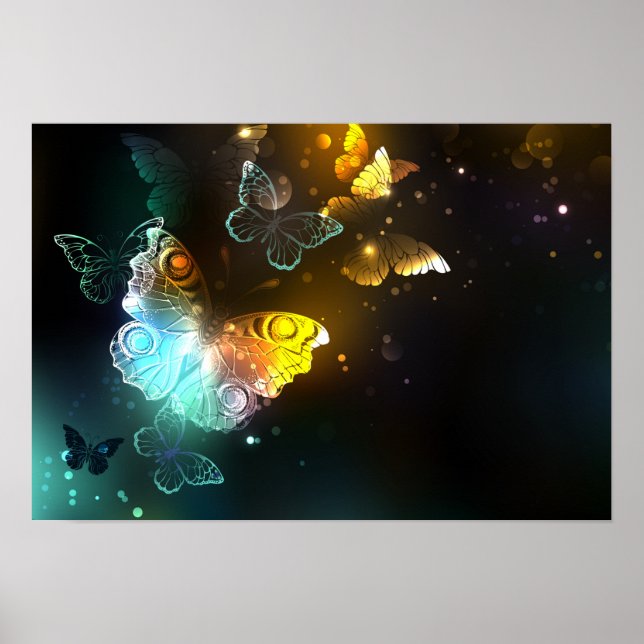 Luminous Butterfly and Night butterflies Poster (Front)