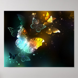 Luminous Butterfly and Night butterflies Poster