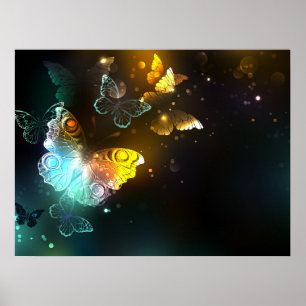 Luminous Butterfly and Night butterflies Poster