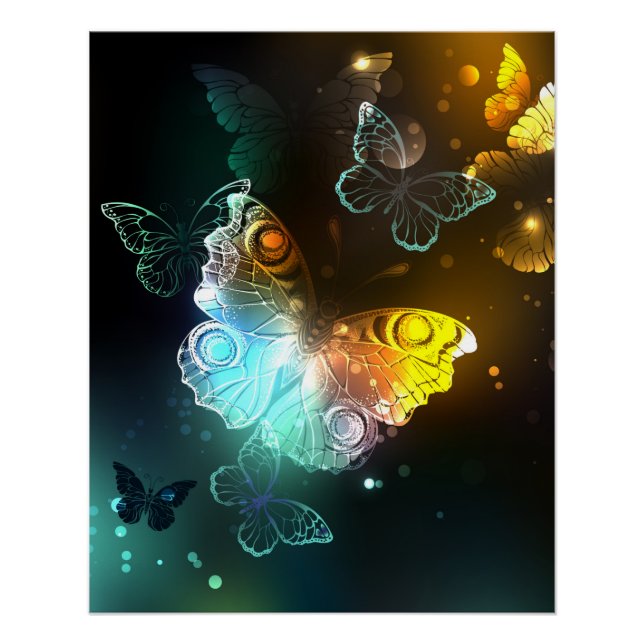 Luminous Butterfly and Night butterflies Poster (Front)