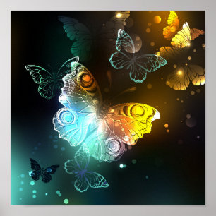 Luminous Butterfly and Night butterflies Poster