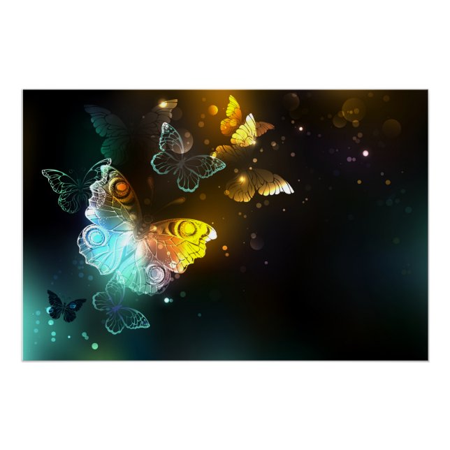 Luminous Butterfly and Night butterflies Poster (Front)