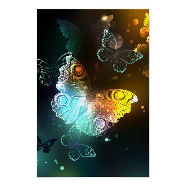 Luminous Butterfly and Night butterflies Poster (Front)