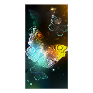 Luminous Butterfly and Night butterflies Poster