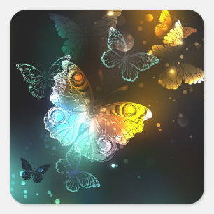 Luminous Butterfly and Night butterflies Square Sticker