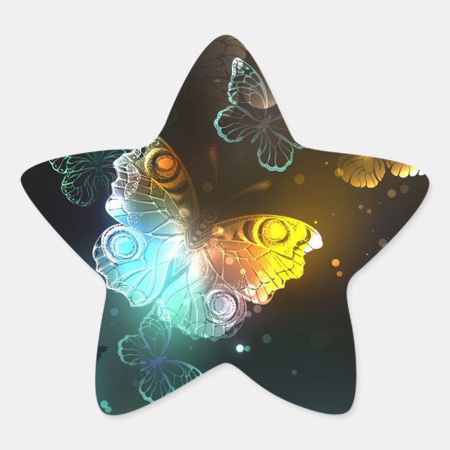 Luminous Butterfly and Night butterflies Star Sticker (Front)