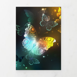 Luminous Butterfly and Night butterflies Tri-Fold Programme