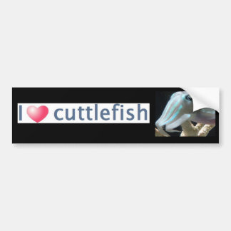 Luminous Cuttlefish Bumper Sticker