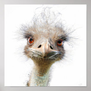 Luminous Emu art chicken art Poster