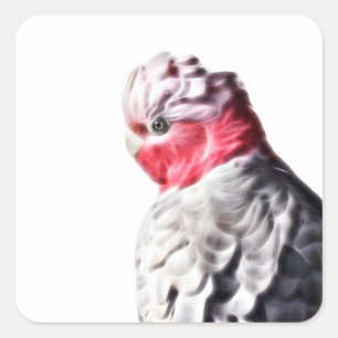 Luminous Parrot Art Rose Breasted Cockatoo Sticker