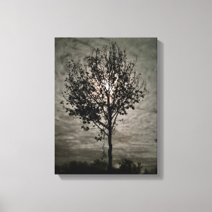 Luminous Silence: A Full Moon Night Canvas Print