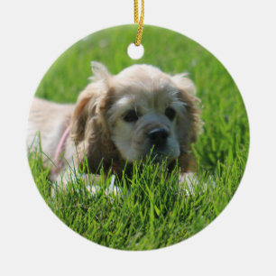 Luna Ceramic Ornament