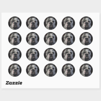 Luna Classic Round Sticker