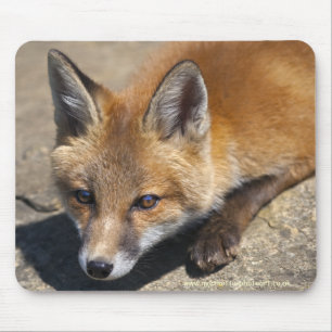 Luna Fox Mousemat Mouse Pad