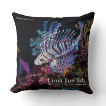 Luna lion fish, Pterois lunulata,