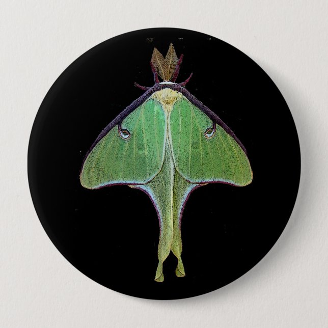 Luna Moth 4 Inch Round Button (Front)