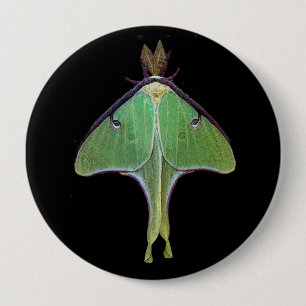 Luna Moth 4 Inch Round Button