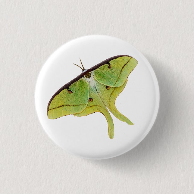 Luna Moth Artwork in Vibrant Colour 1 Inch Round Button (Front)