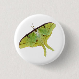 Luna Moth Artwork in Vibrant Colour 1 Inch Round Button