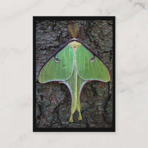 Luna Moth ATC Business Card