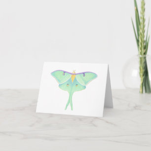 Luna Moth Card