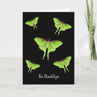 Luna Moth cartoon illustration