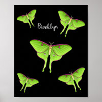 Luna Moth cartoon illustration 