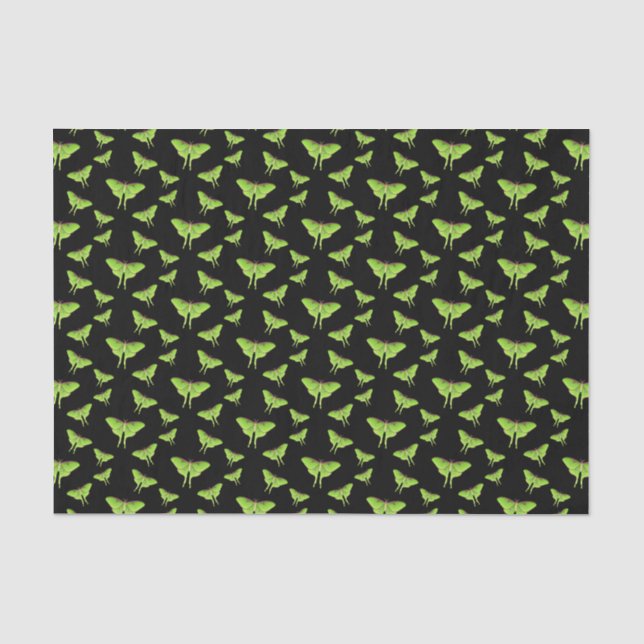 Luna Moth cartoon illustration  Tissue Paper (Front)