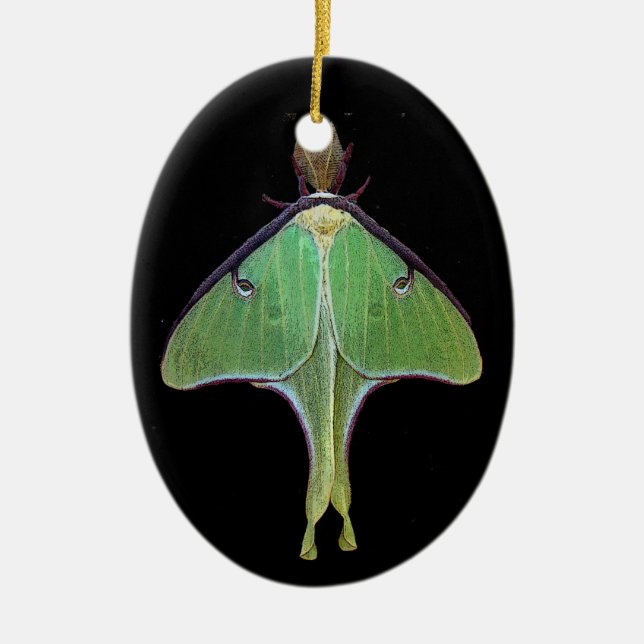 Luna Moth Ceramic Ornament (Front)