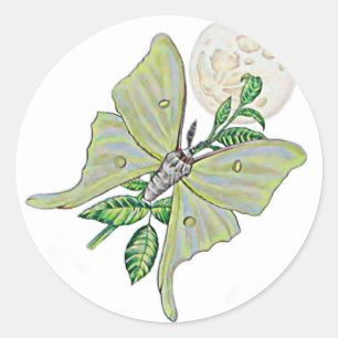 Luna Moth Classic Round Sticker