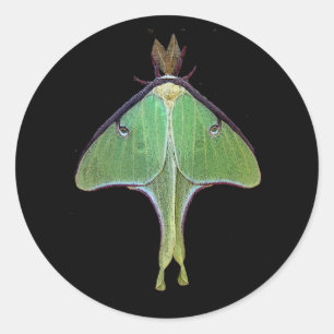 Luna Moth Classic Round Sticker