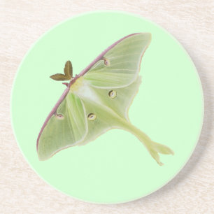 Luna Moth Coaster