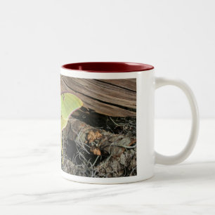 Luna Moth Coffee Mug