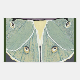 Luna Moth Digital Painting Accent Pillow Sticker