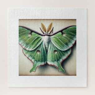 Luna Moth in Watercolor and Ink 230824IREF213 - Wa Jigsaw Puzzle