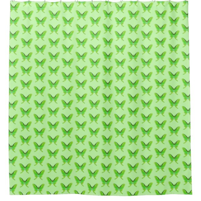 Luna moth - lime green on a pale green background (Front)