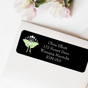 Luna Moth Moon Phases