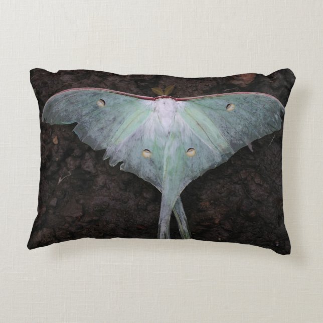 luna moth nature butterfly fairy fantasy dream accent pillow (Back)