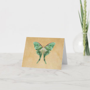Luna Moth Note Card
