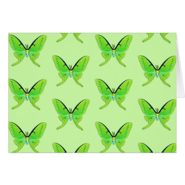 Luna moth on a pale green background (Front Horizontal)