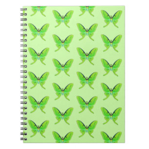 Luna moth on a pale green background notebook