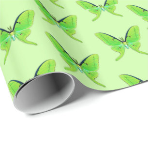 Luna moth on a pale green background wrapping paper