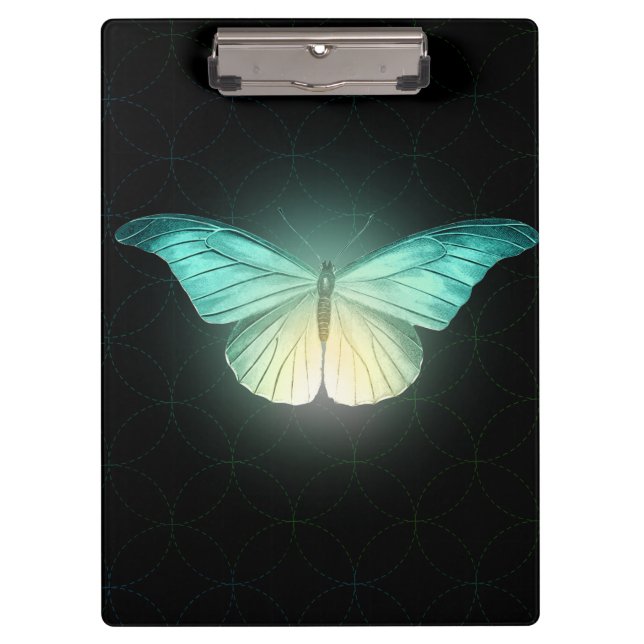 Luna Moth on Black Clipboard (Front)