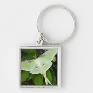 Luna Moth on Carnaby Clematis Keychain