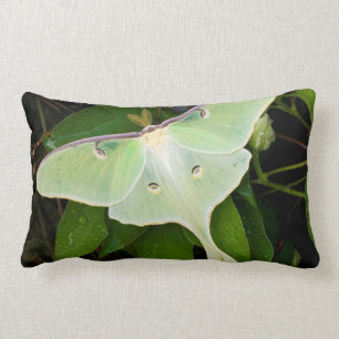 Luna Moth on Carnaby Clematis Lumbar Pillow