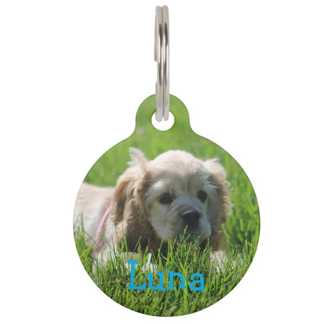 Luna Pet Tag (Front)