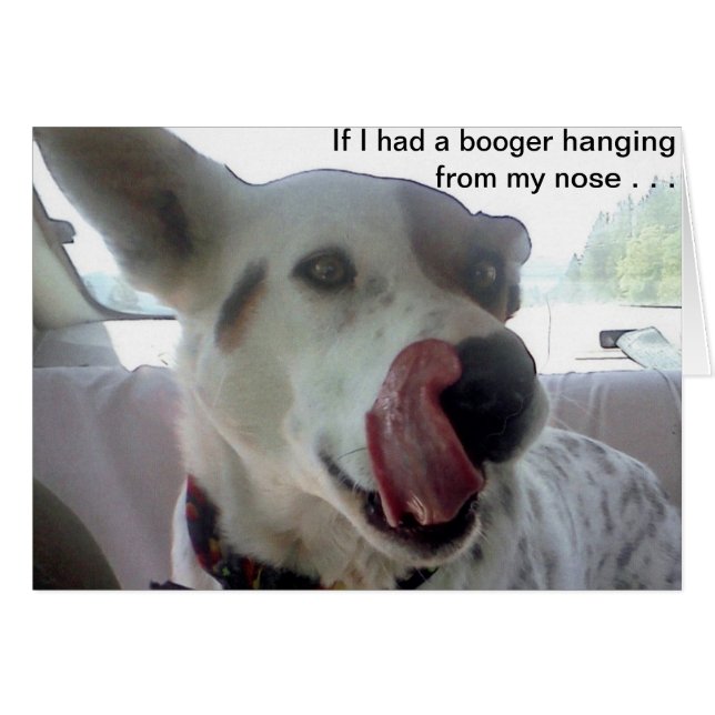 Luna Says If I Had A Booger Hanging From My Nose? (Front Horizontal)