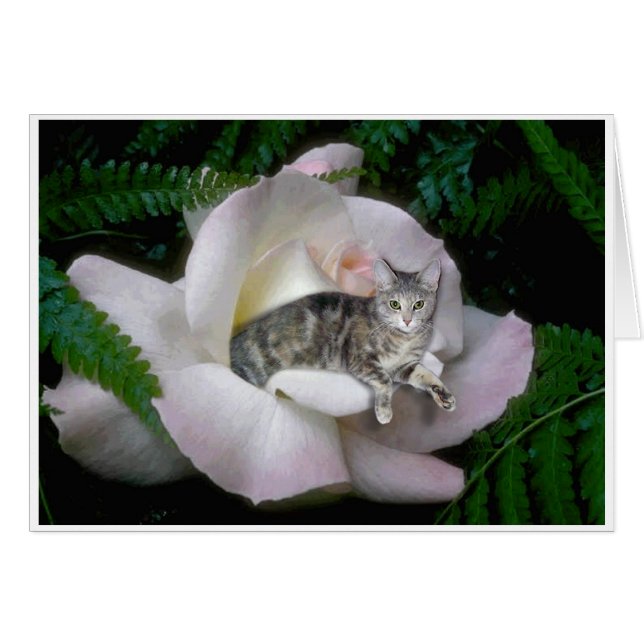 Luna s'est levé (Devant horizontal)